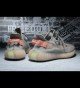 Adidas Yeezy Boost 350 V2 True Form