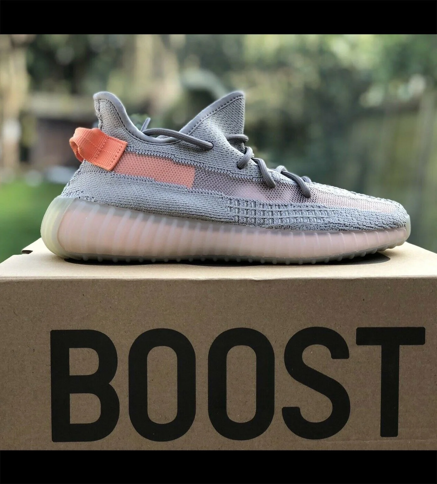Adidas Yeezy Boost 350 V2 True Form