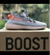 Adidas yeezy boost true form new arrivals