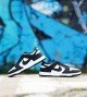 Nike SB Dunk Black-White Classic